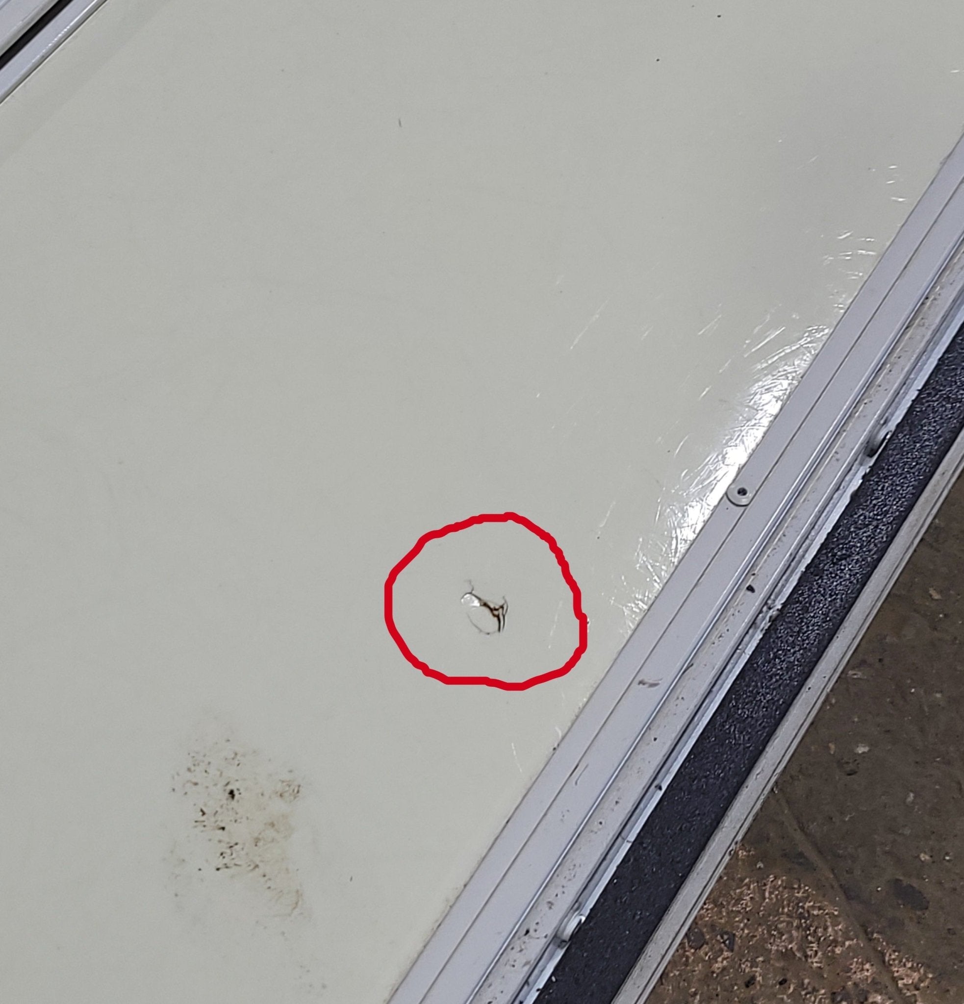 Used Radius Cornered Cargo Door 59 3/4" x 8 7/8" X 1/2" D - Young Farts RV Parts