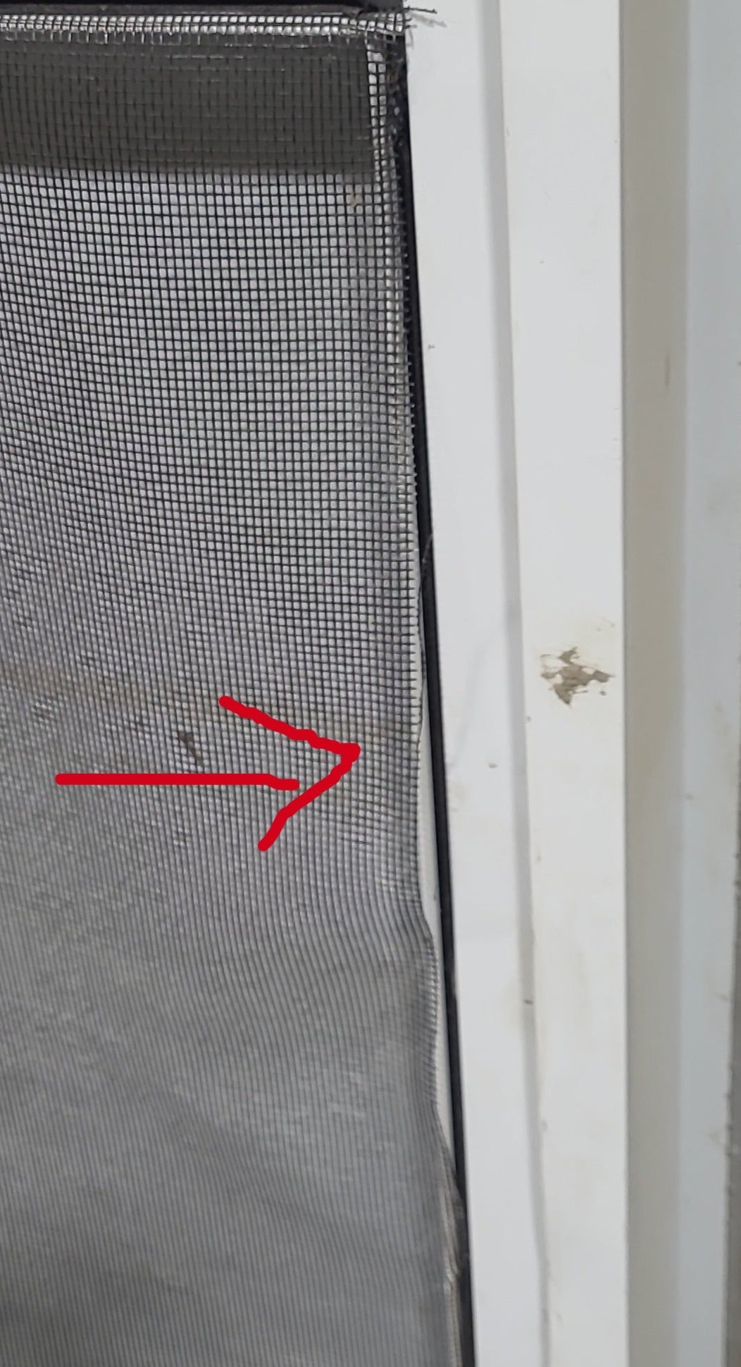 Used RV Radius Entry Door 29 3/8" x 71 5/8" - Young Farts RV Parts